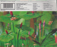 Artcore: Ambient/Jungle