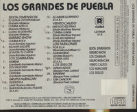 Los Grandes De Puebla w/ Writing on Artwork