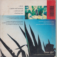 Grant Lee Buffalo: Fuzzy 4-Track Maxi-Single