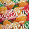 Virgin Records Film & TV Music Summer Sampler 2005: Sound Bites Promo 2-Disc Set