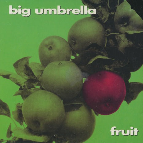 Big Umbrella: Fruit w/ Cut Artwork