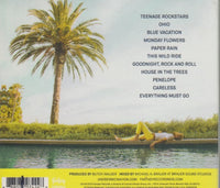 Andrew McMahon In The Wilderness: Upside Down Flowers