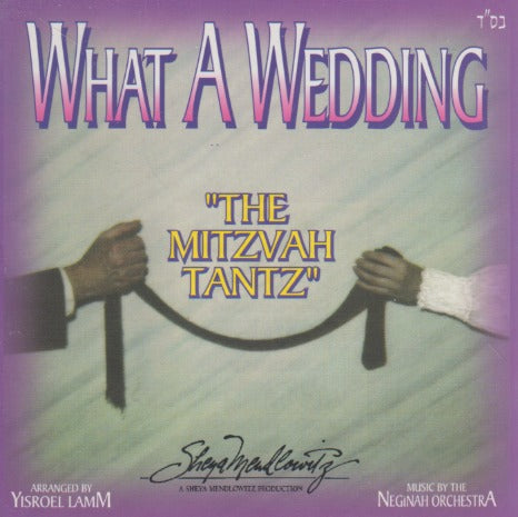 What A Wedding: The Mitzvah Tantz