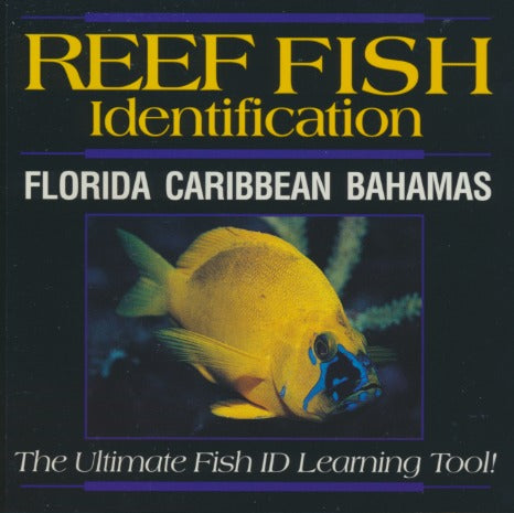 Reef Fish Identification: Florida, Caribbean, Bahamas