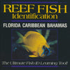 Reef Fish Identification: Florida, Caribbean, Bahamas