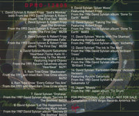 David Sylvian & Robert Fripp: God's Monkey / Retrospective 15-Track Promo