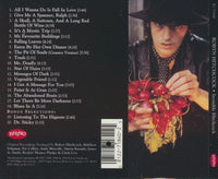 Robyn Hitchcock: Invisible Hitchcock w/ Back Artwork
