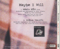 Protein: Maybe I Will 2-Track Promo