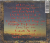 Brad Souls: Soul Healing Rain