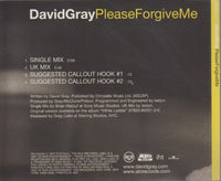 David Gray: Please Forgive Me 4-Track Promo