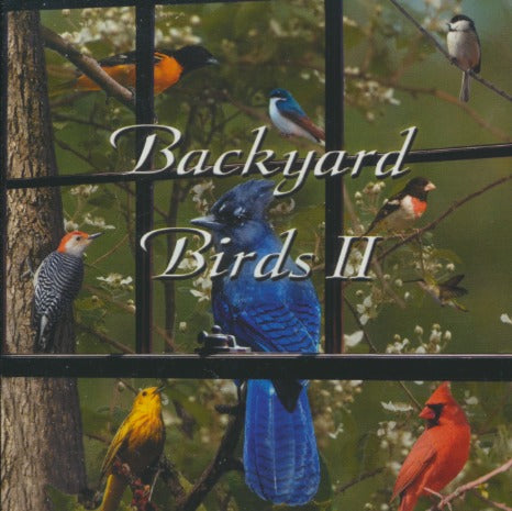 John Grout: Backyard Birds II