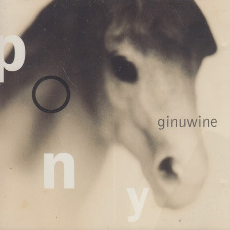 Ginuwine: Pony 4-Track Promo