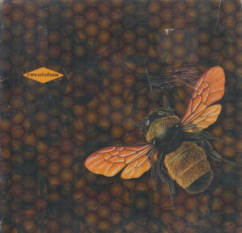 Michelle Lewis: Little Leviathan 12-Track Advance Promo