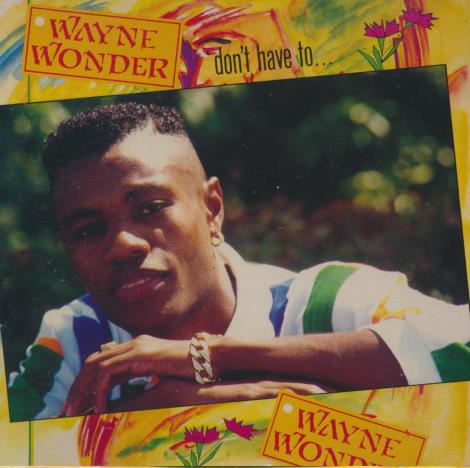Wayne Wonder: Don't Have To