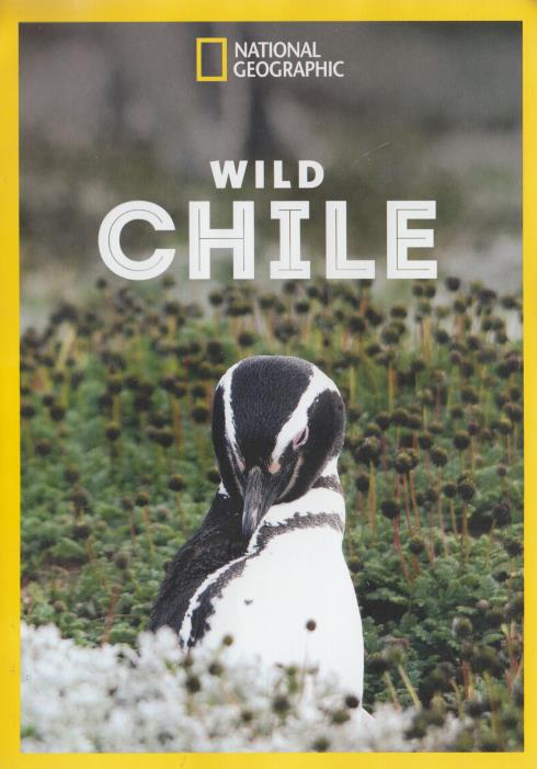 National Geographic: Wild Chile