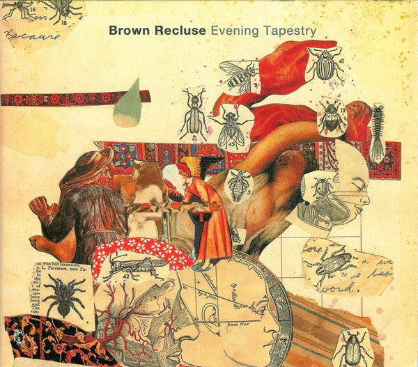 Brown Recluse: Evening Tapestry