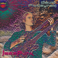 David Fiuczynski: JazzPunk