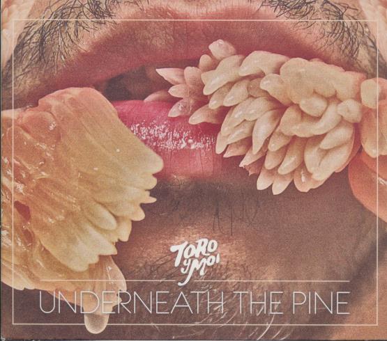 Toro Y Moi: Underneath The Pine