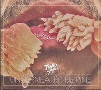 Toro Y Moi: Underneath The Pine