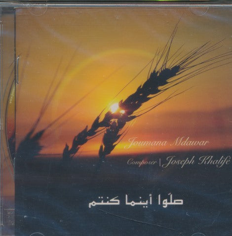 Joumana Mdawar: Sallou Aynama Kountom w/ Cracked Case