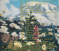 The Brian Jonestown Massacre: Their Satanic Majesties' Second Request w/ Water Damaged Artwork