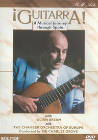 Guitarra: A Musical Journey Through Spain