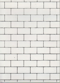Pink Floyd: The Wall w/ Poster - NeverDieMedia