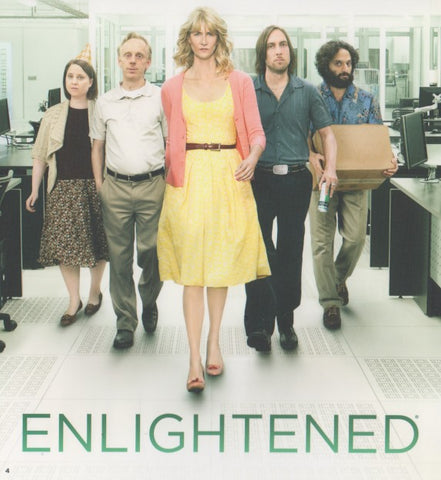 Enlightened 2013 FYC 4 Episodes