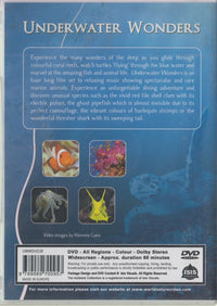 Underwater Wonders: The Ambient Collection