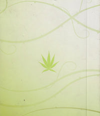 Weeds: The Complete Collection: Seasons 1-8 16-Disc Set