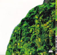 Clams Casino: Rainforest