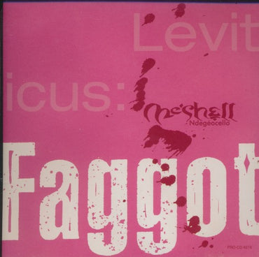 Me'Shell Ndegeocello: Leviticus: Faggot 2-Track Promo