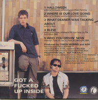 Ash: Got A Beautiful Face... Got A Fucked Up Inside 5-Track Promo
