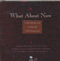 Robbie Robertson: What About Now 3-Track Promo