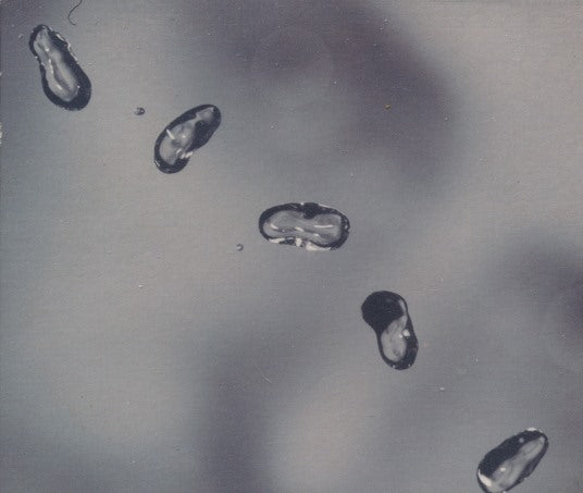 Peter Gabriel: Up Promo