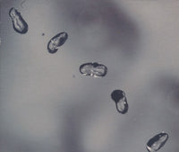 Peter Gabriel: Up Promo