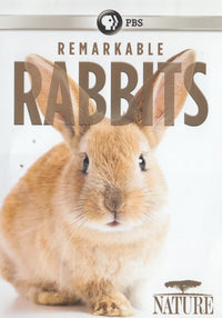 Remarkable Rabbits