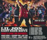 Lil' Jon & The East Side Boyz: What U Gon' Do Remixes 6-Track Promo w/ Back Artwork