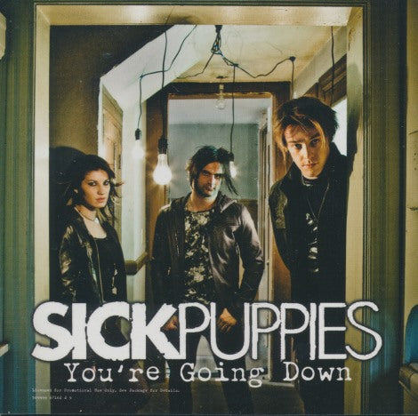 Sick Puppies: You're Going Down 2-Track Promo