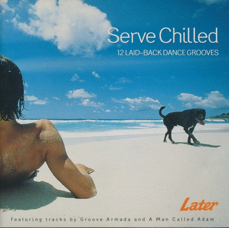 Serve Chilled: 12 Laid-Back Dance Grooves Promo