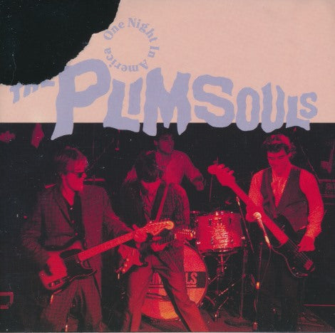 The Plimsouls: One Night In America France w/ Damaged Artwork