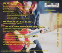 Roxette: How Do You Do! 3-Track Maxi-Single
