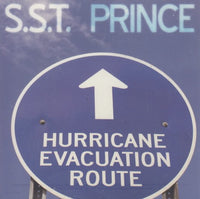 Prince: S.S.T. 2-Track Maxi-Single