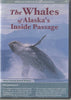 The Whales Of Alaska's Inside Passage Special Enhanced