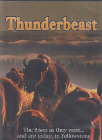 Thunderbeast: The Bison As The Were...& Are Today, In Yellowstone