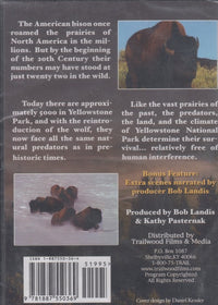 Thunderbeast: The Bison As The Were...& Are Today, In Yellowstone