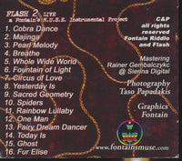 Fontain's M.U.S.E.: Instrumental Project: Flash 2 Live