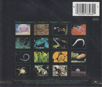 Vangelis: Soil Festivities