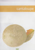 Cantaloupe By Ed Young 2-Disc Set