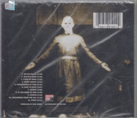 Slayer: Diabolus In Musica